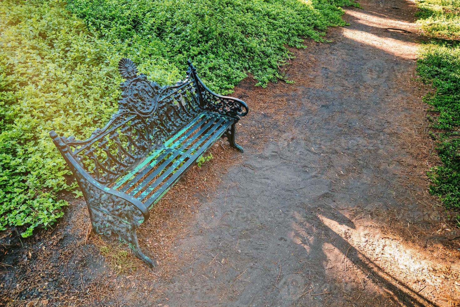 Bench alone in the park during the summer photo