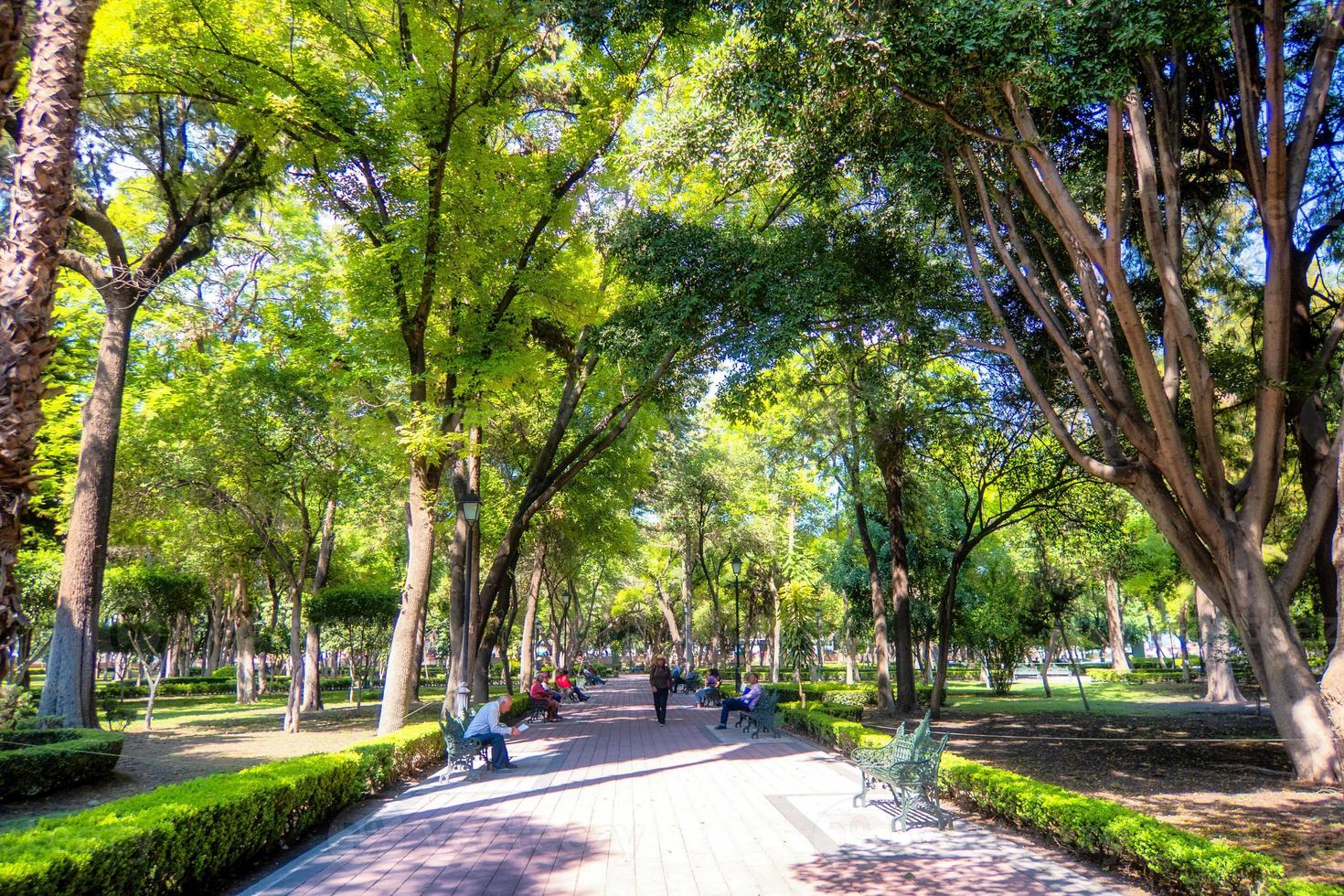 Alameda of Queretaro Mexico photo