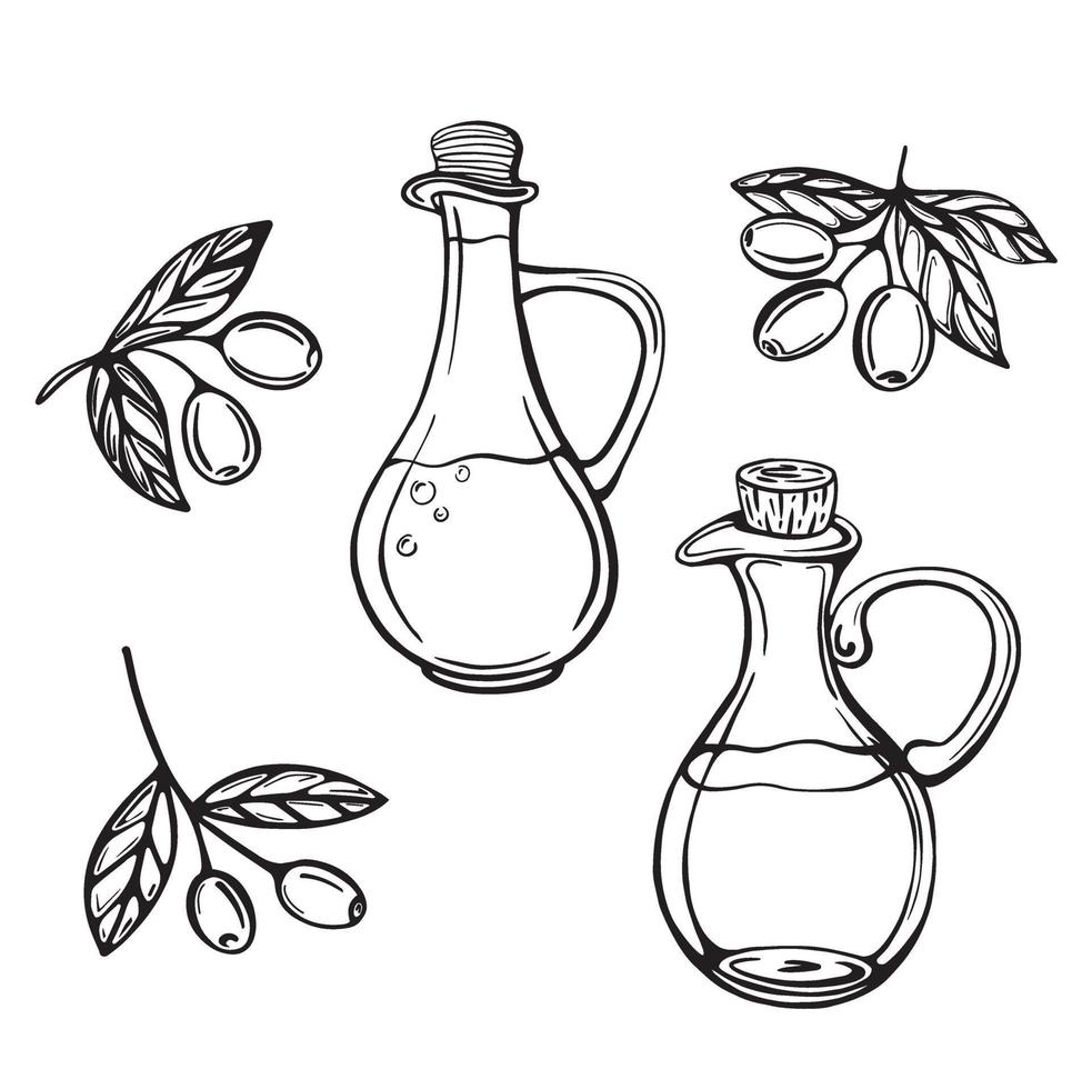 Olive oil bottles vector