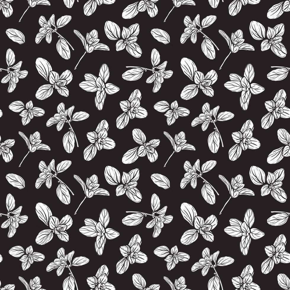 italian basil seamless pattern vector