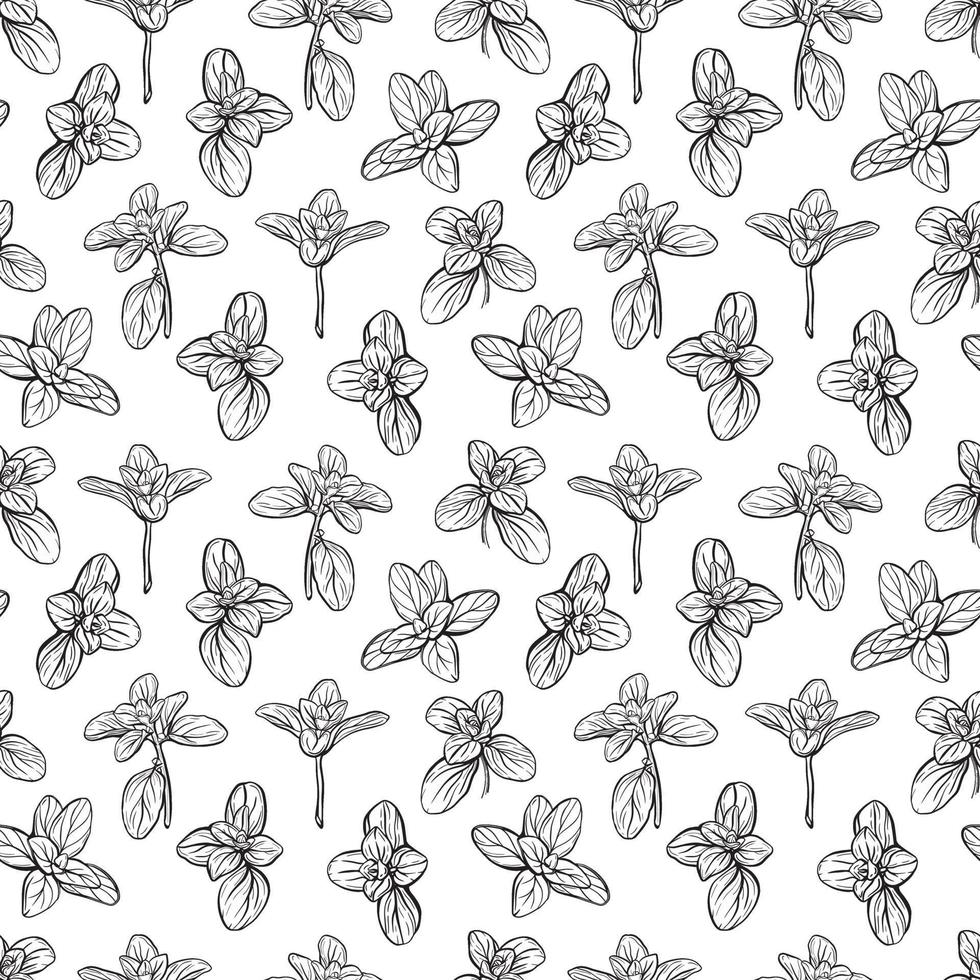 Basil leaves seamless pattern vector