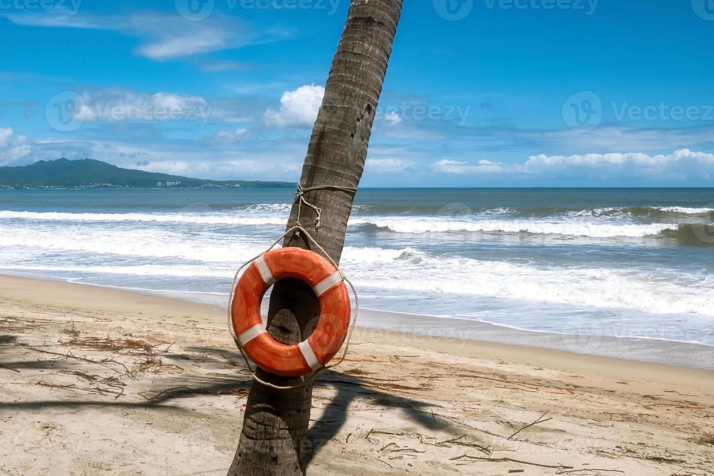 Lifebuoy hanging on a palm tree with a beach in the background photo