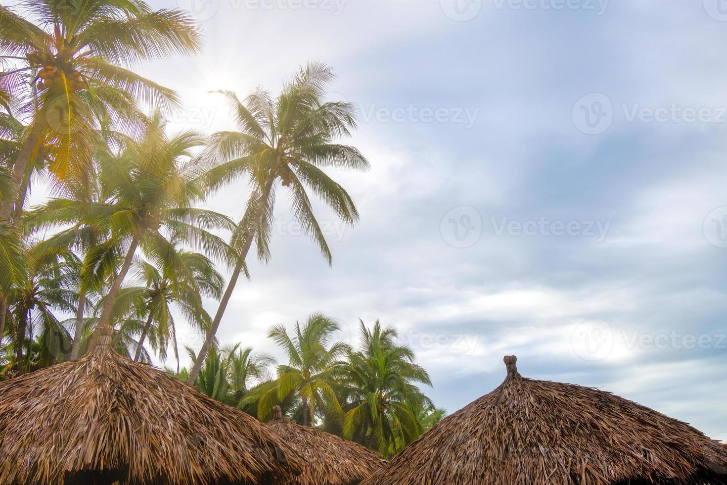 Background landscape with palm trees clouds sea and blue sky photo