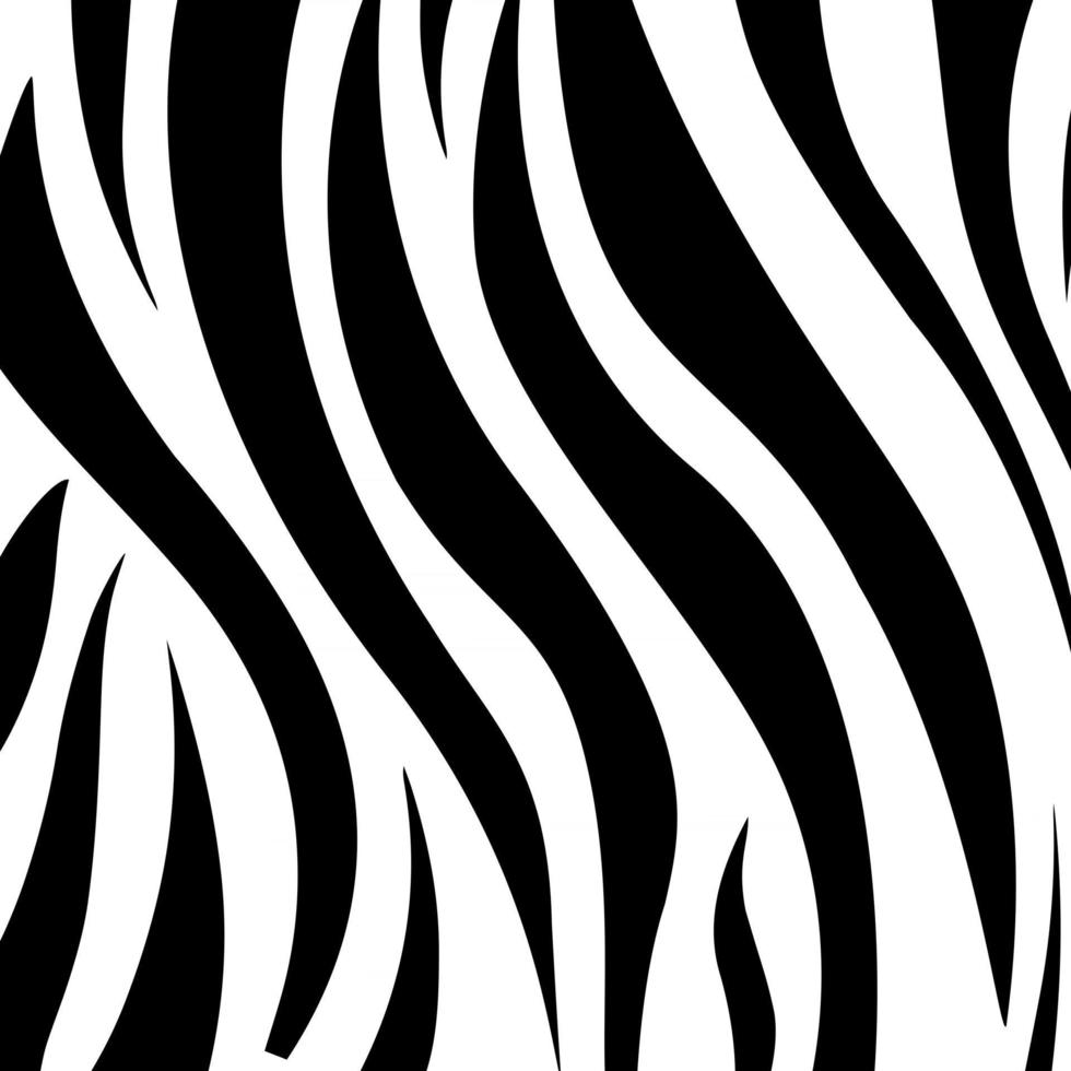 black and white stripes pattern of zebra hide vector