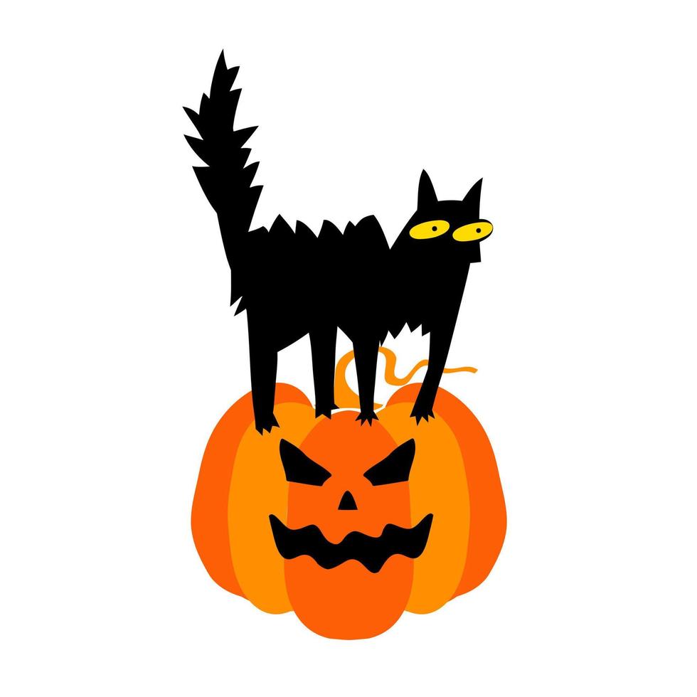 el gato de una bruja sobre una calabaza. ilustración vectorial de halloween vector