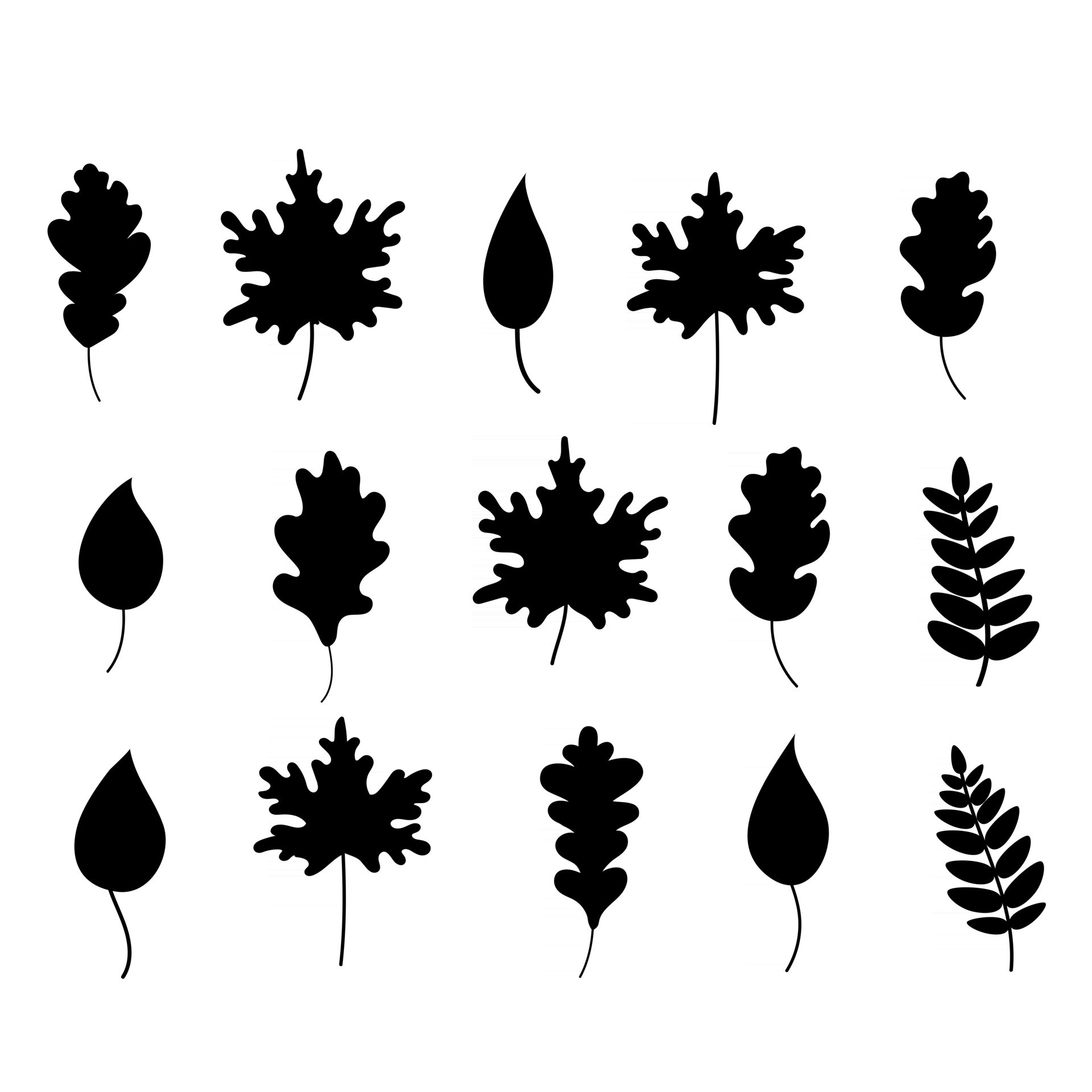 Set of black leaves 12217400 Vector Art at Vecteezy
