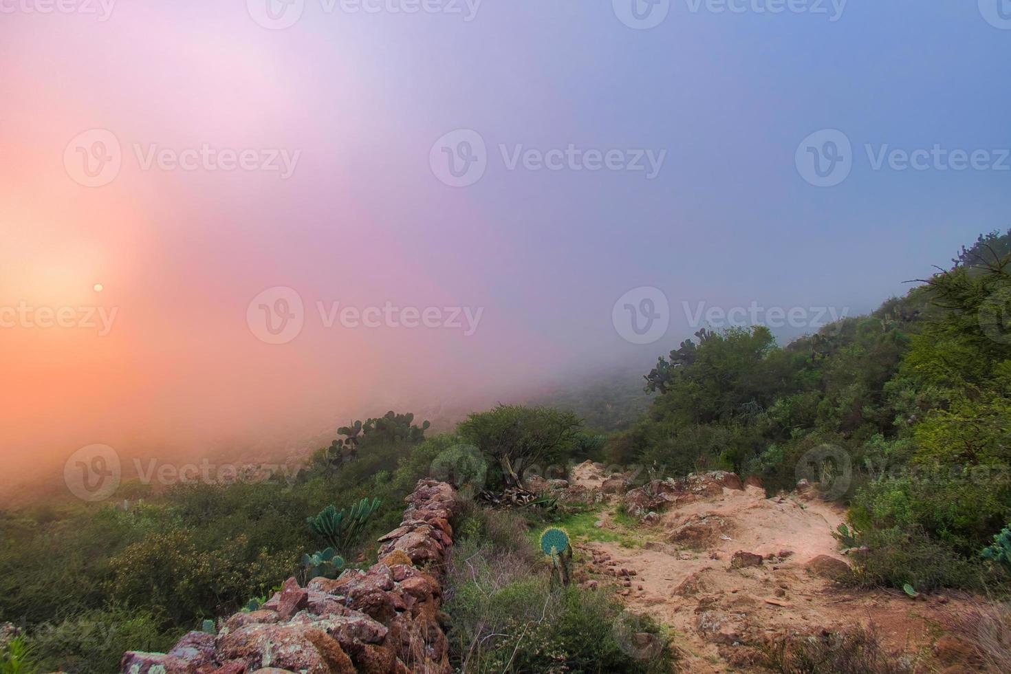 Mexican landscape with opuntia and red sky in the morning to hiking photo