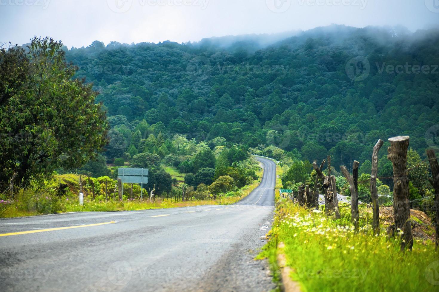 road in green landscape with transportation curve for business background photo