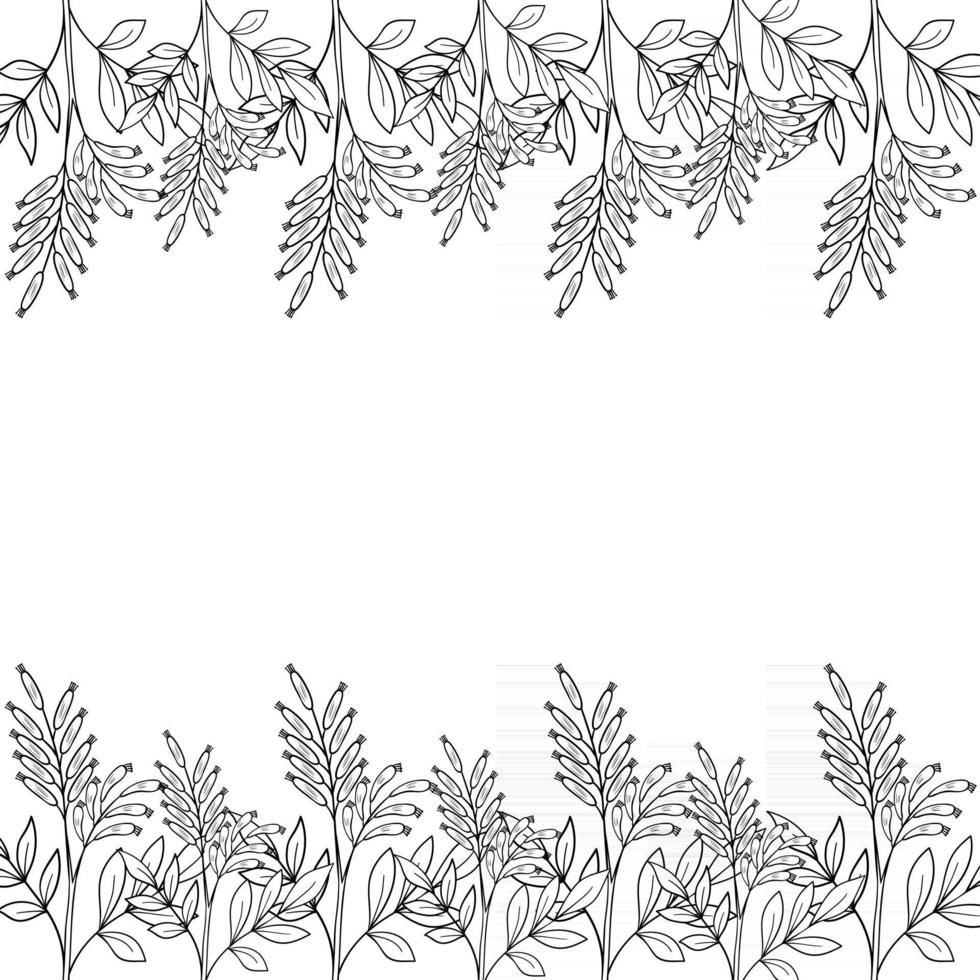 bitter-wood, frame, border vector
