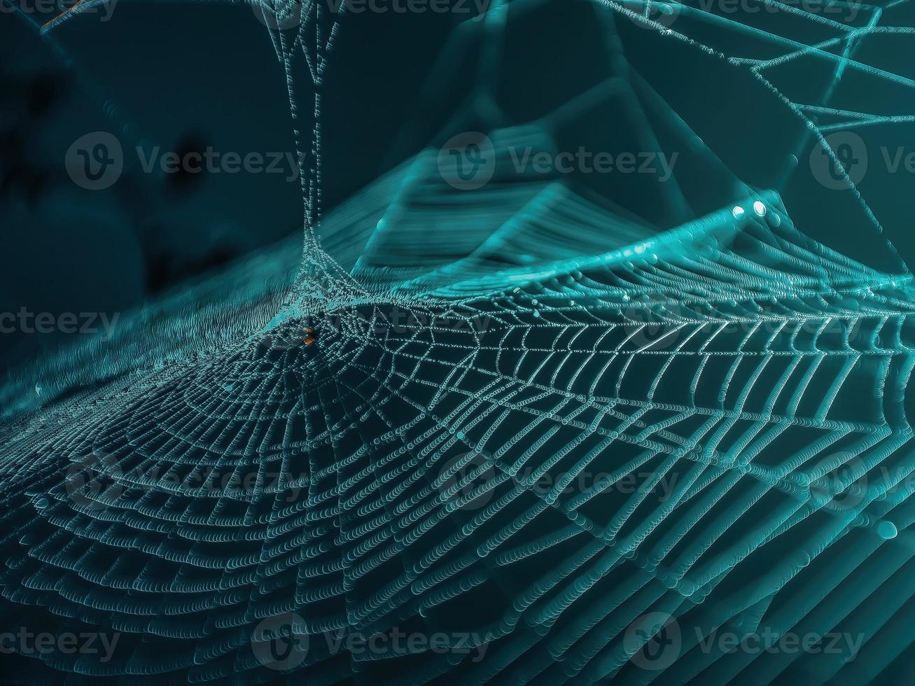 The Spider Web close up with copyspace photo