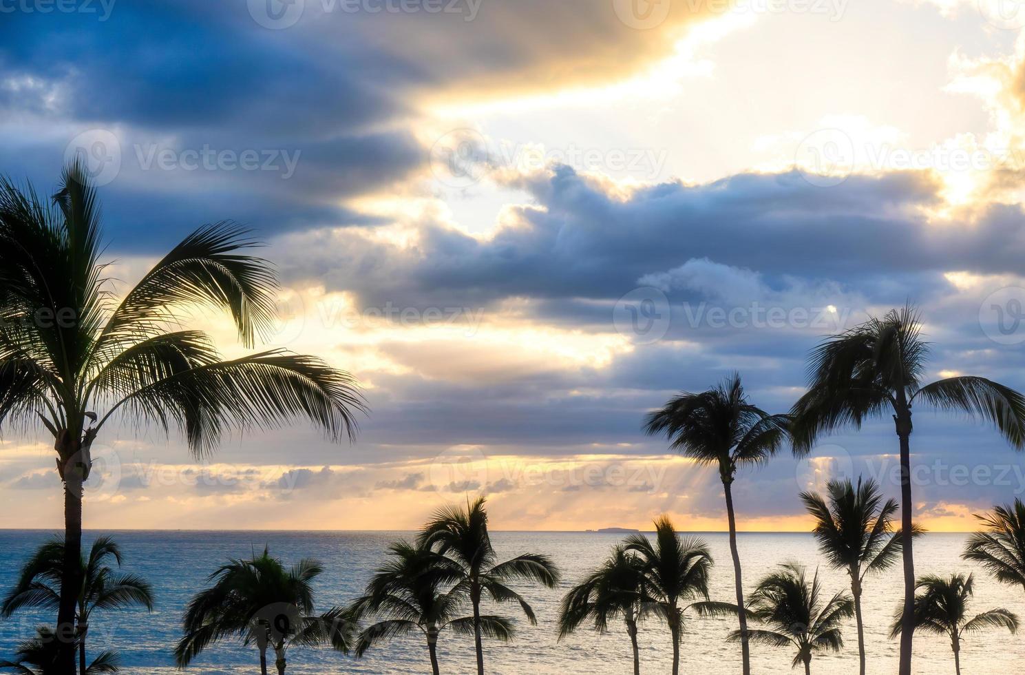 Sunset on the beach with palm trees photo