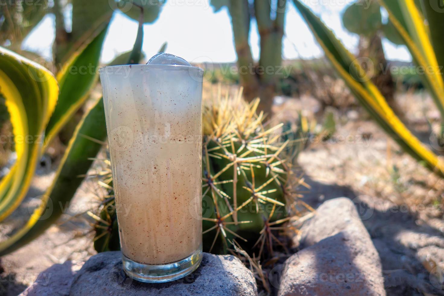 bebida guamiche ferocactus wislizenii tipica de guanajuato mexico foto