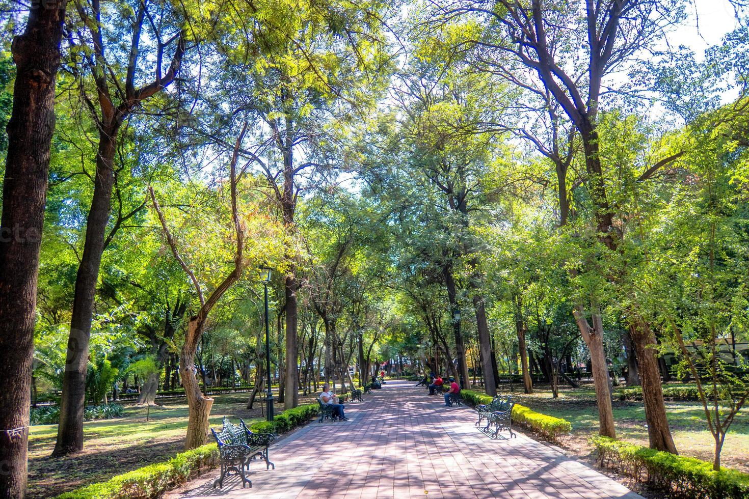 alameda de querétaro méxico foto