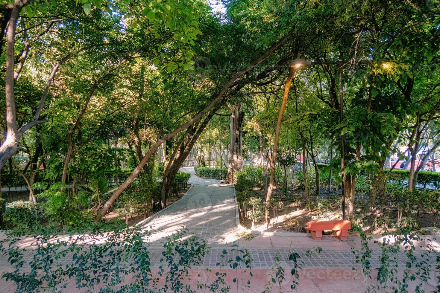 Alameda Park in San Miguel de Allende photo