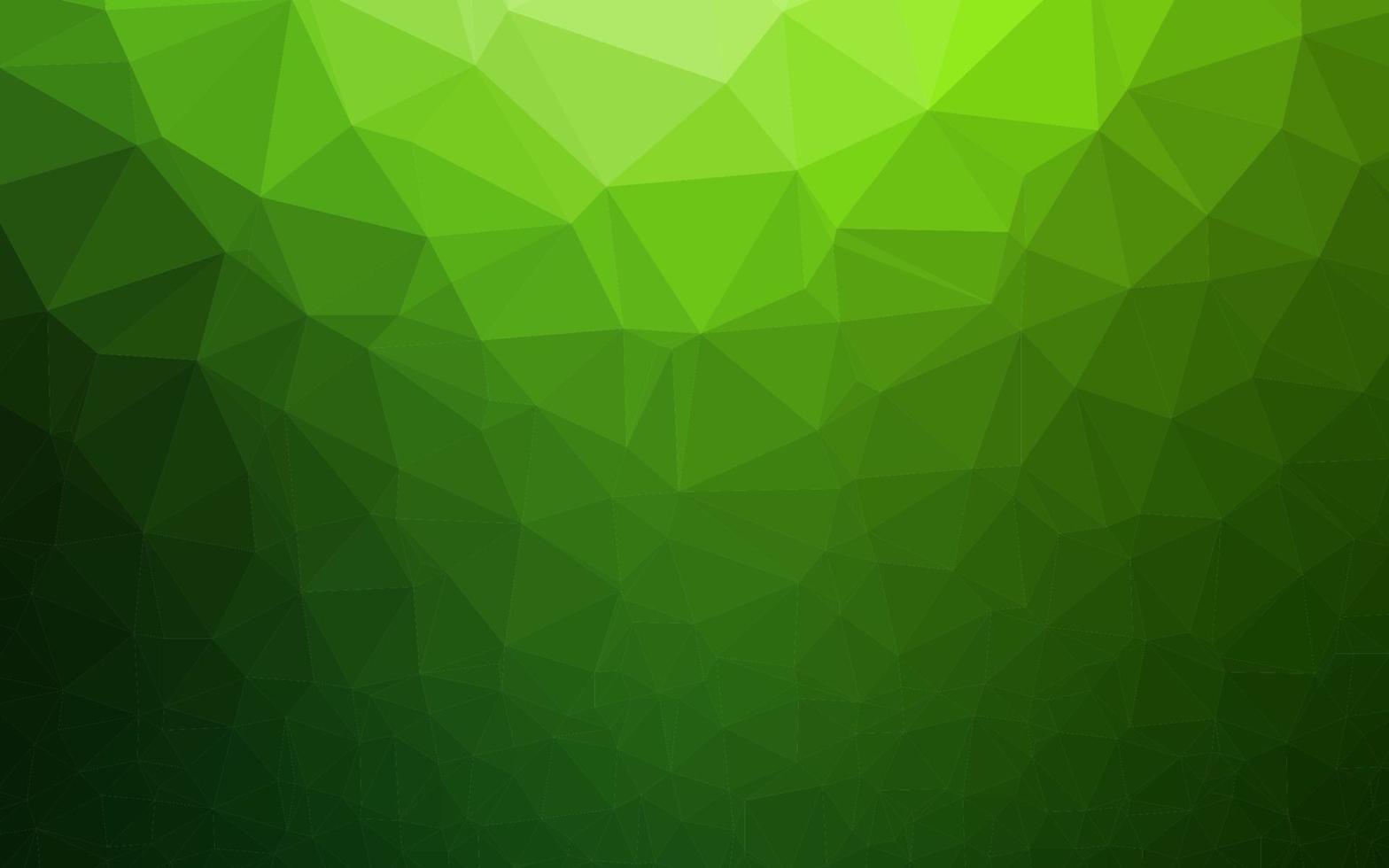 Light Green vector low poly layout.