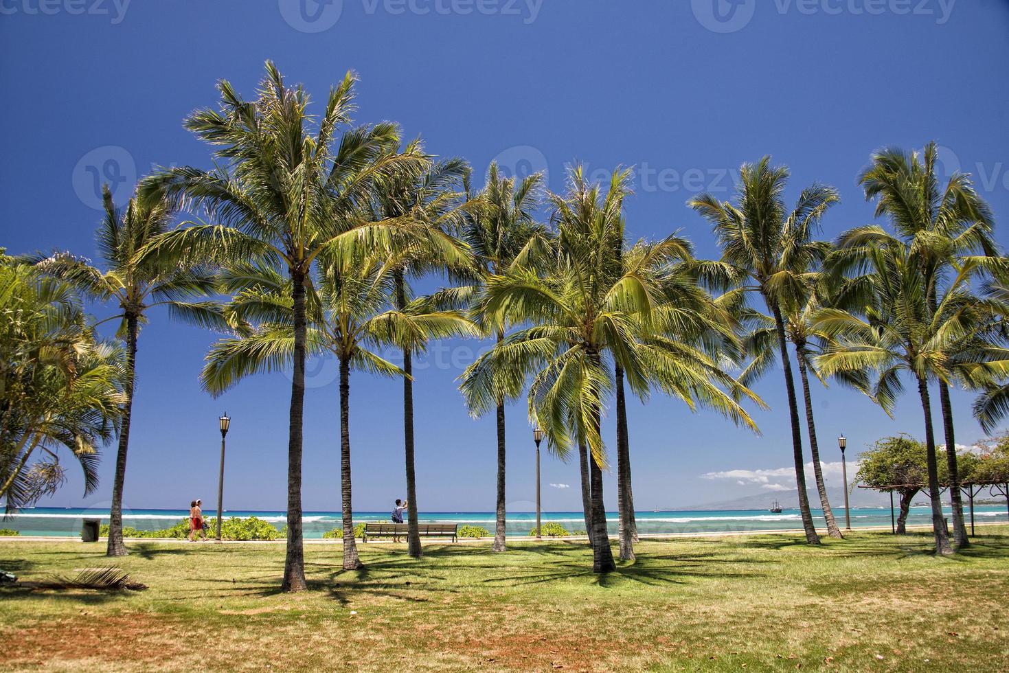 Waikiki beach panorama photo