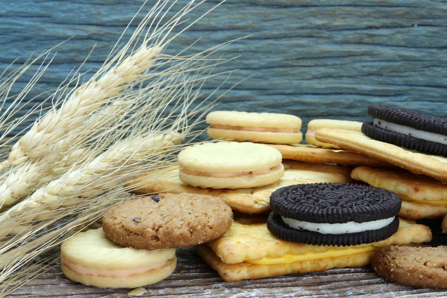 variety of chocolate cookies on wooden table. Chocolate chip cookies shot with barley plant photo