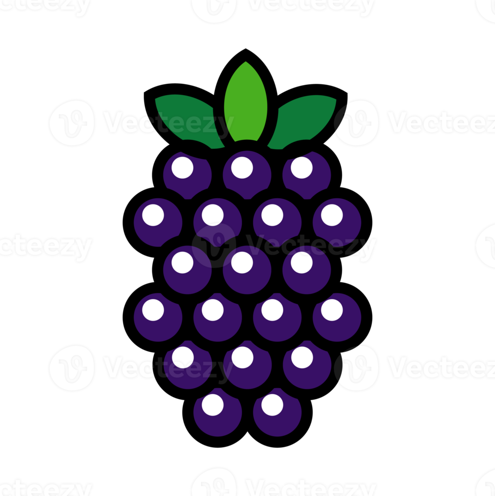 Isolated blackberry fruit illustration, perfect for illustrations and learning. png