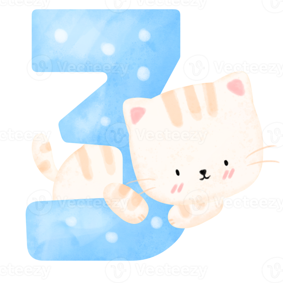 Cat and Birthday number png