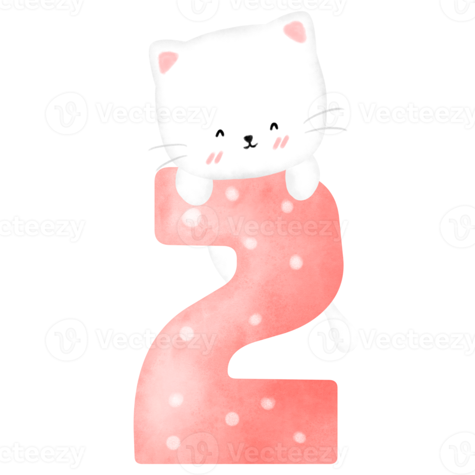 Cat and Birthday number png