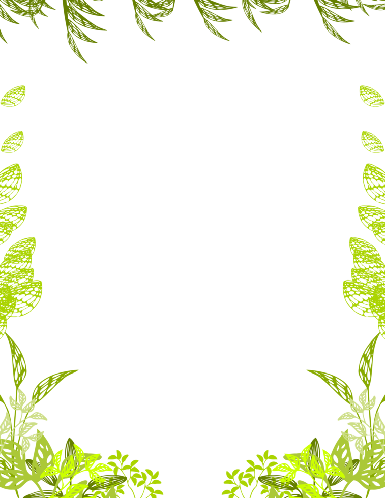 herbal frame, floral frame png