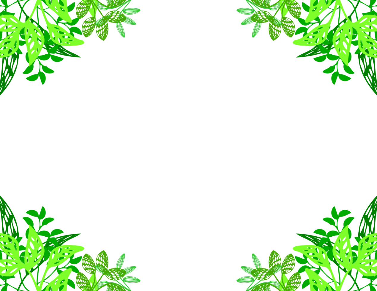 cadre à base de plantes transparent png