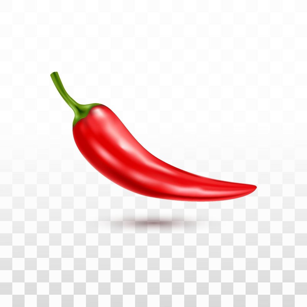 realistic red chili 3d isolated vector