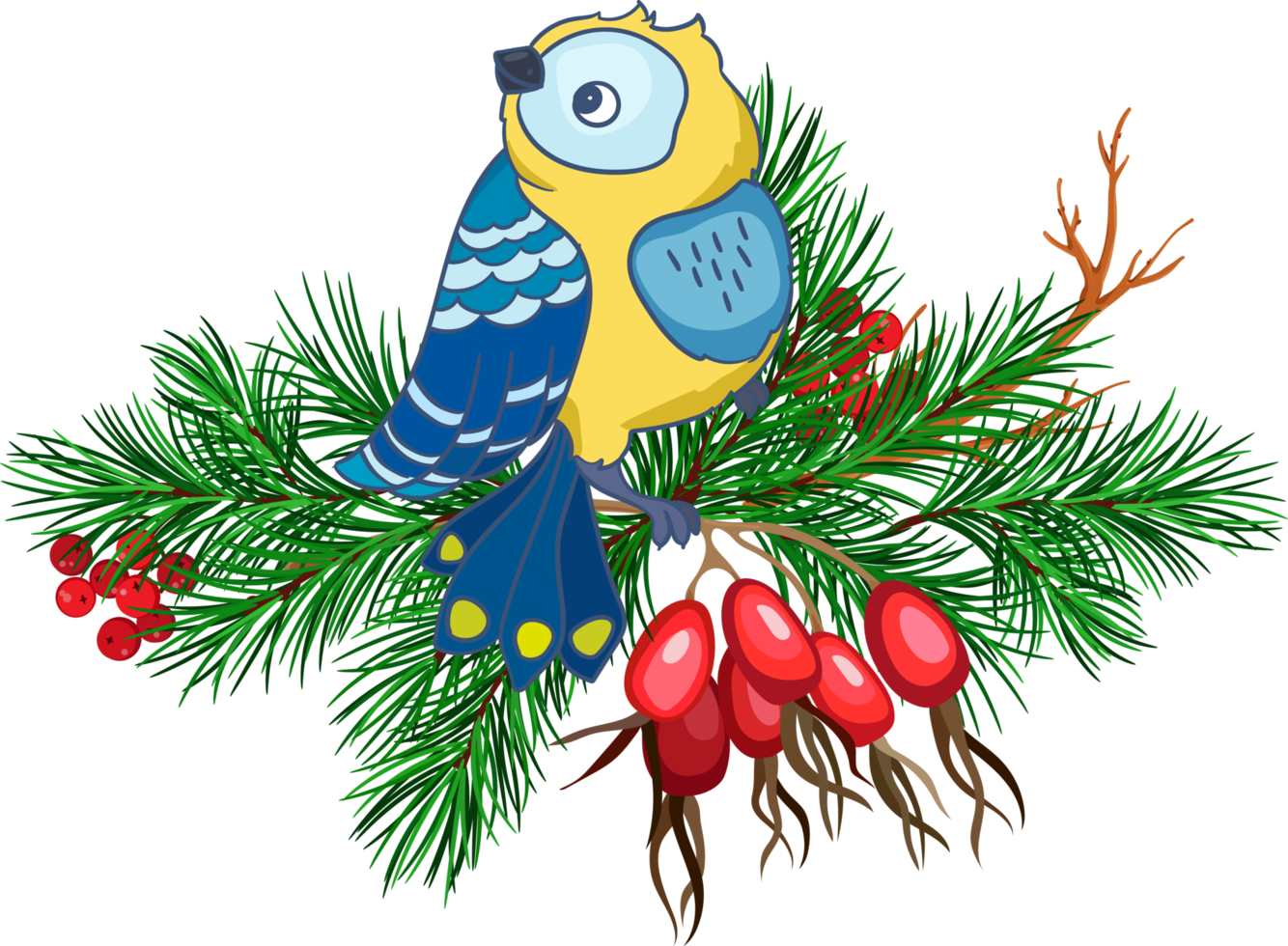 weihnachtskomposition mit kohlmeisevogel, weißdornbeeren, tannenzweigen png