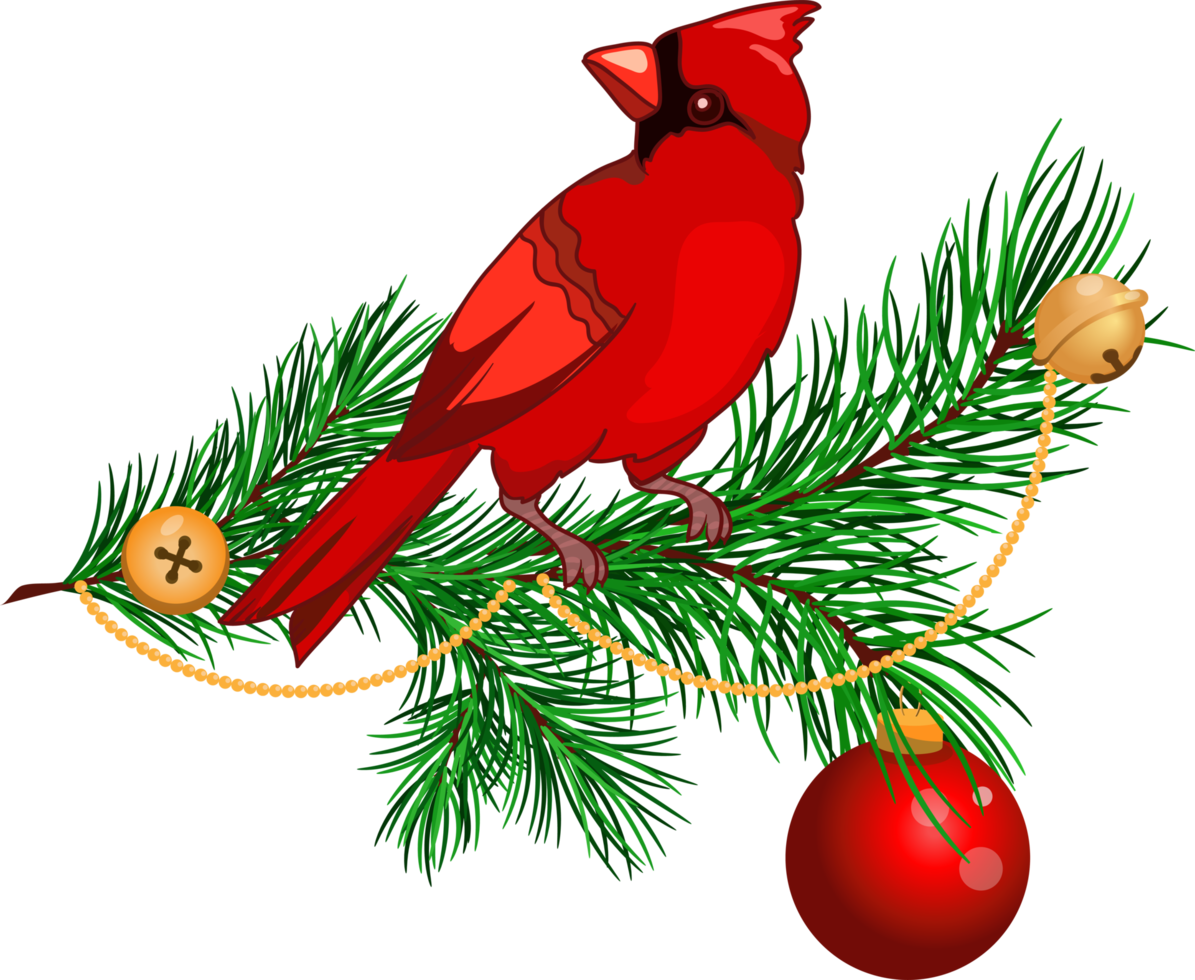 composição de natal com galhos de pinheiro, sinos e pássaro cardinal png