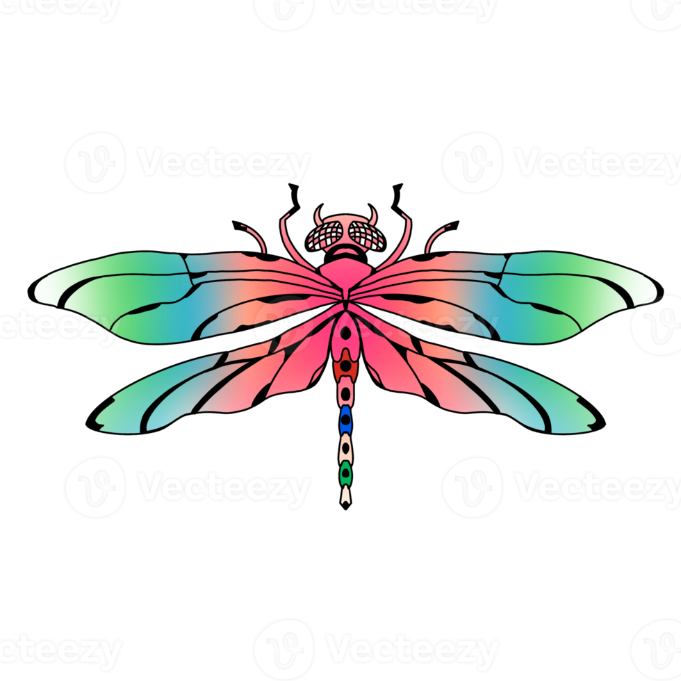 The Colorful dragonfly png