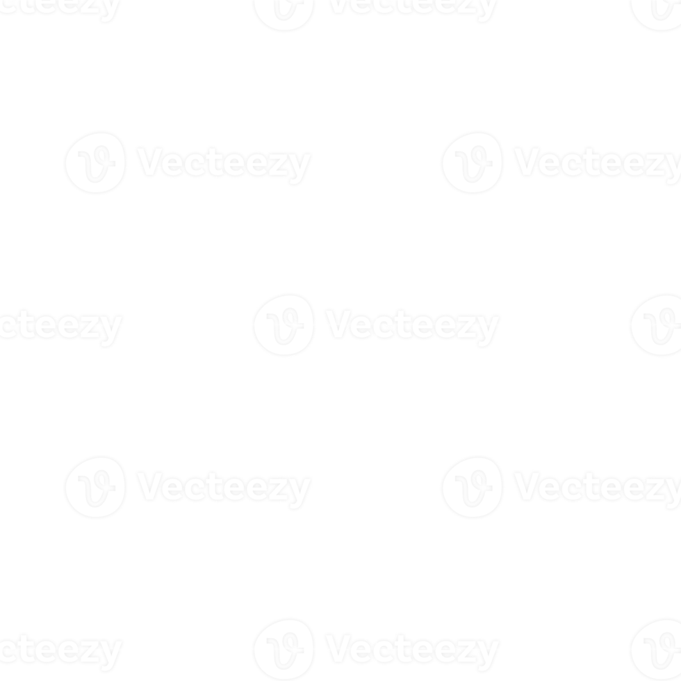 copos de nieve de navidad blanca png