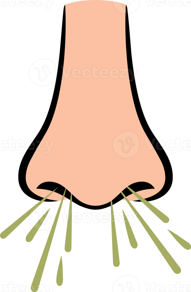 Nose and Sneezing png