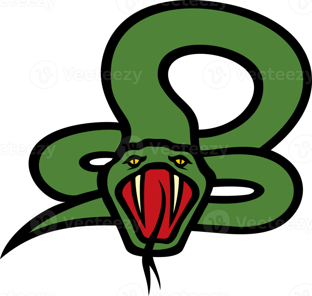 Snake Animal Color png