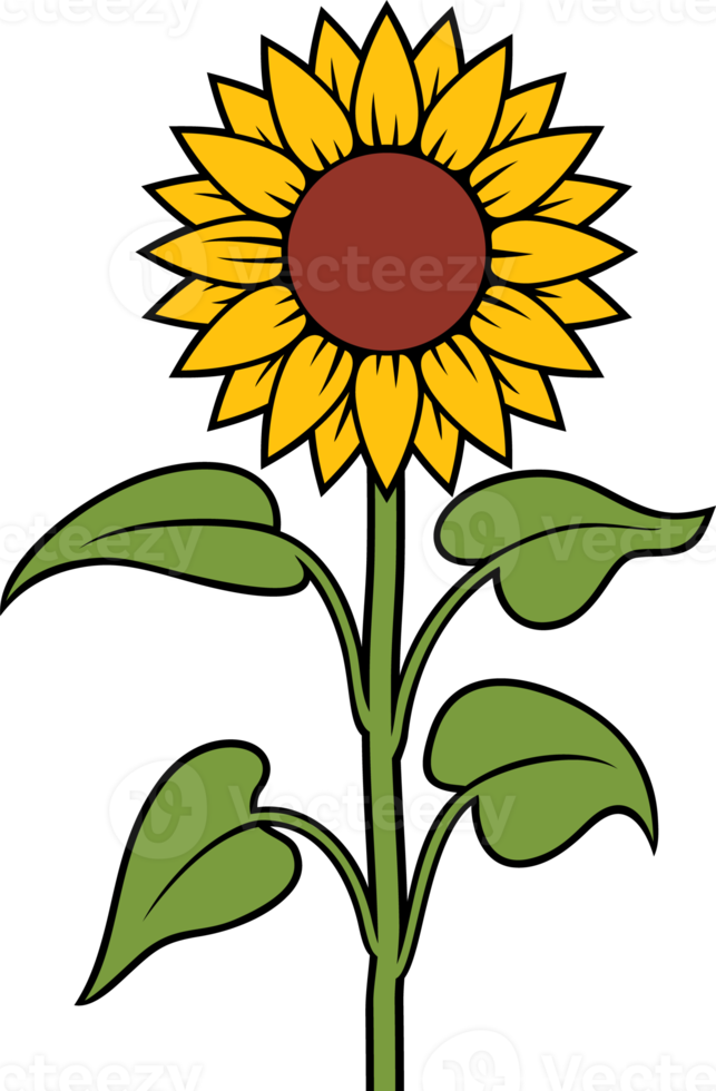 sonnenblumenblume mit stiel und blättern png