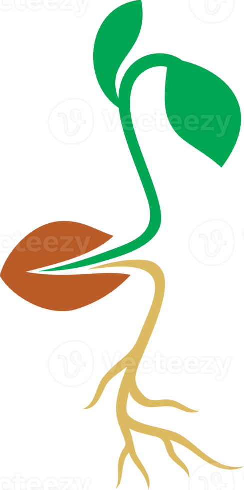 Farbe des Seed-Symbols png
