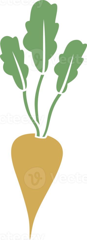 Sugar Beet Color png