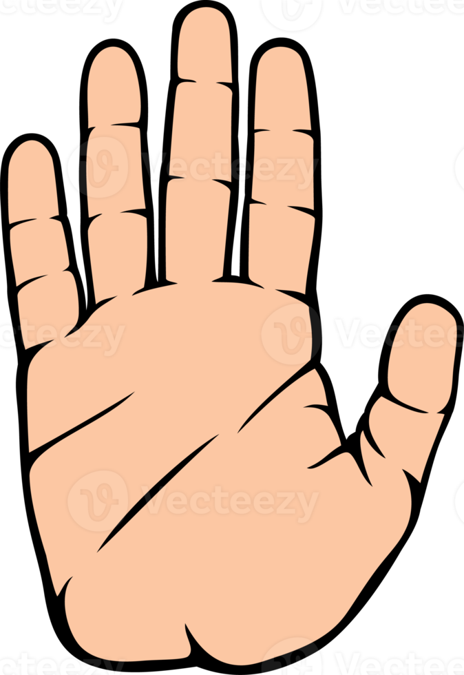 Stop Hand Color png