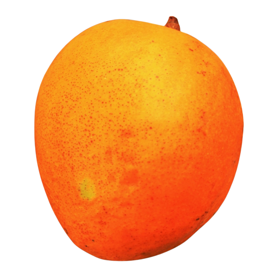 frische Mangofrucht png