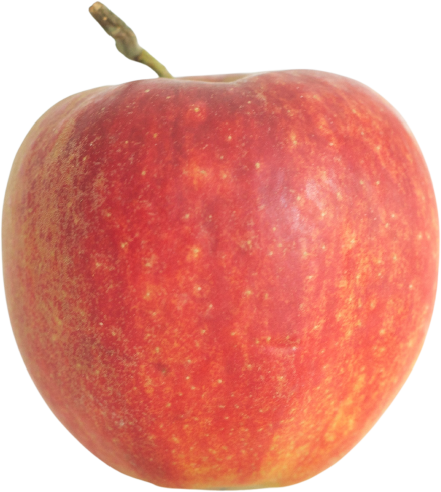 pomme fraîche avec fond blanc png