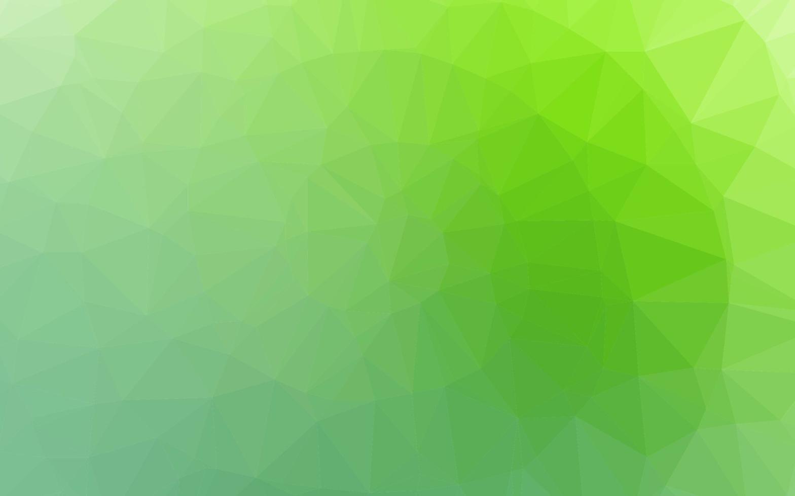 Light Green vector low poly layout.