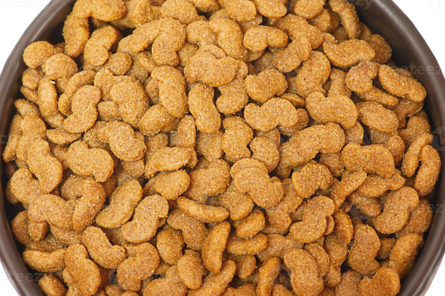 Dry food for dogs or cats in a bowl isolated on a white background. Food is good for animals. photo