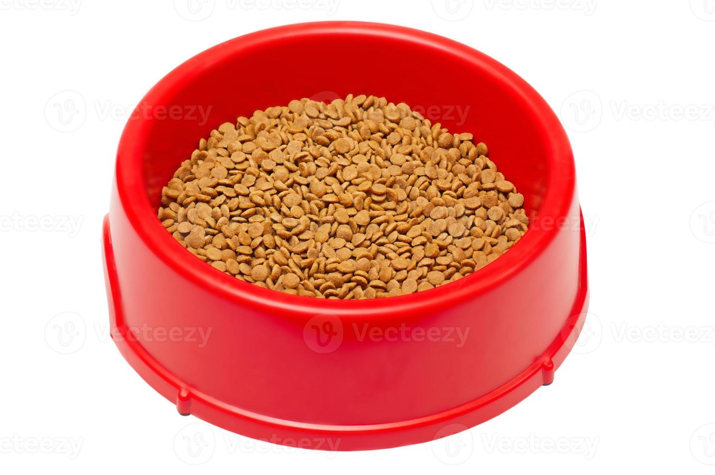 Dry food for puppies, kittens or adult dogs or cats. Useful food for animals. photo