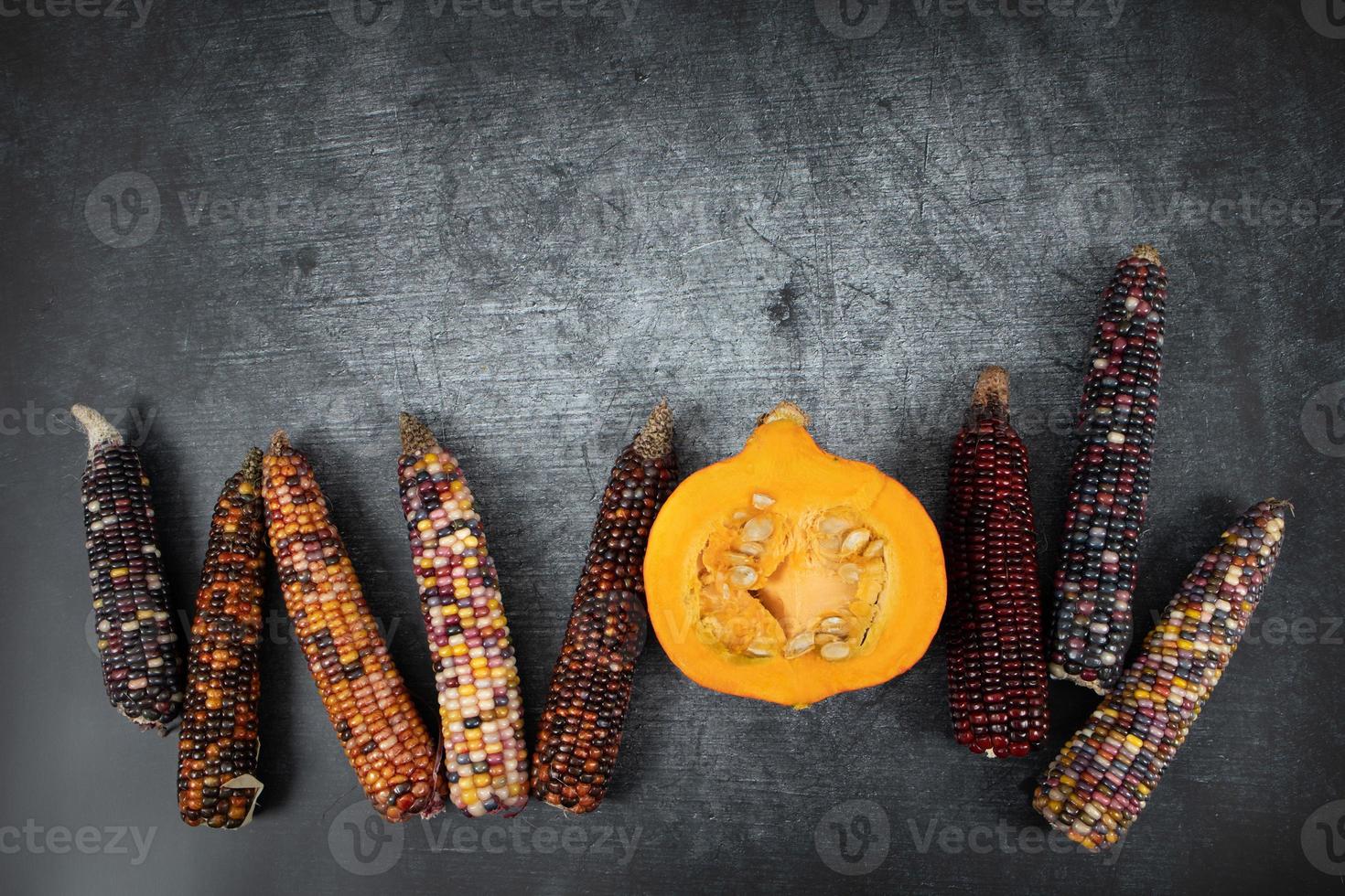 Lots of colorful corn on the cob and half a pumpkin lie next to each other. The background is grey. The pumpkin is cut open. photo