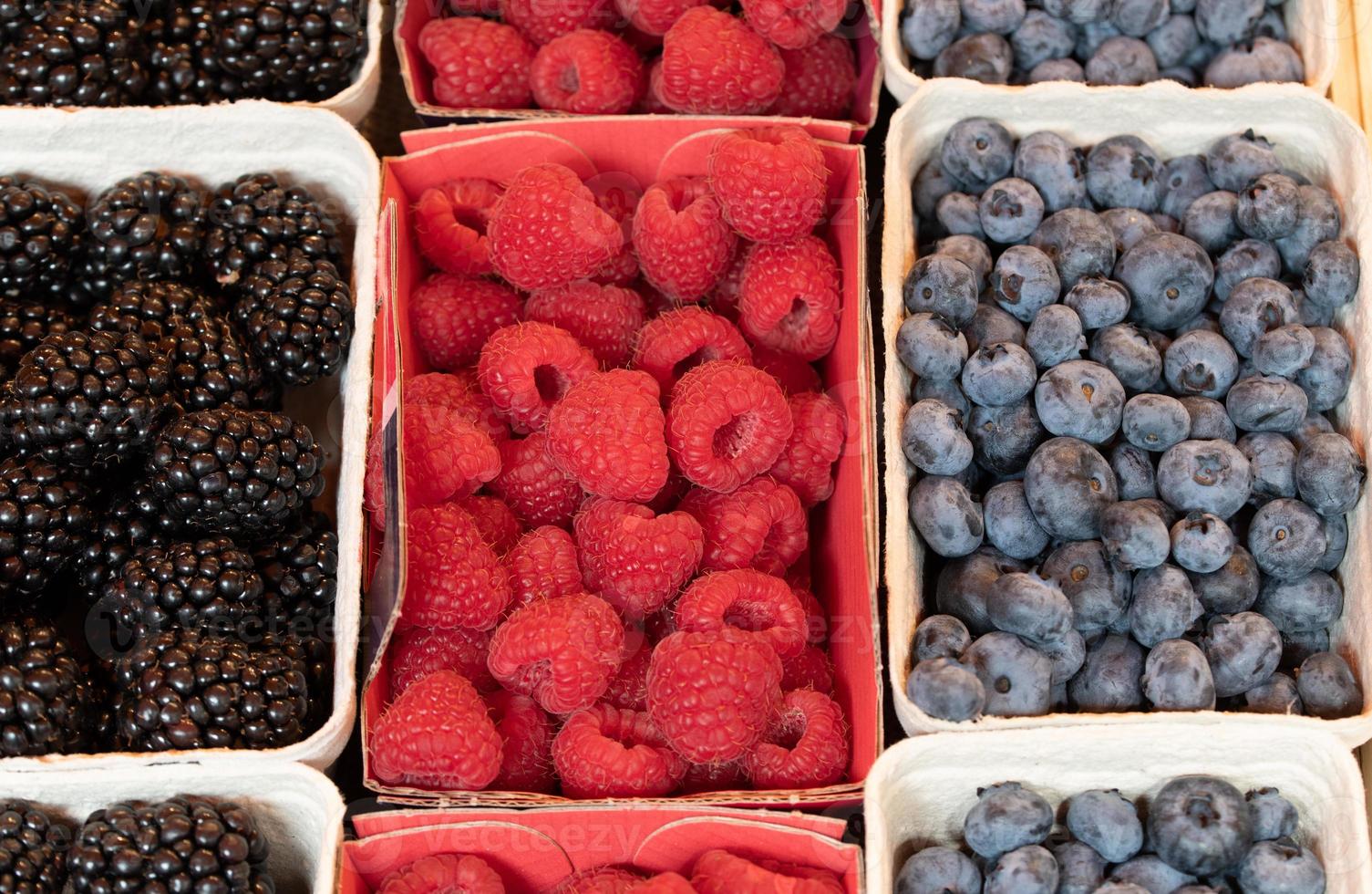 Various cardboard bowls lie next to each other. The bowls are filled with blackberries, raspberries and blueberries. They are for sale at a market photo