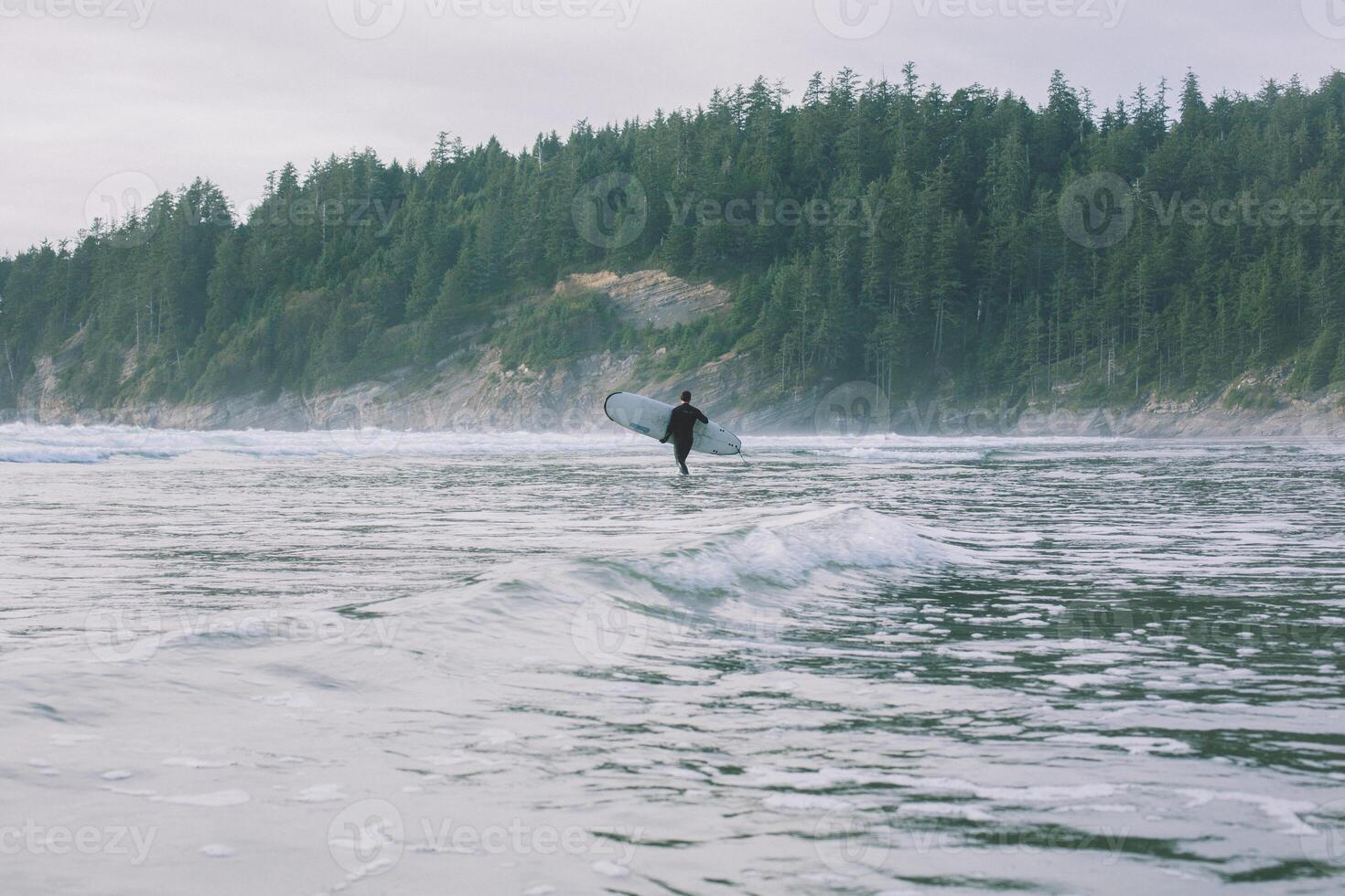 kite surfing on the beach photo