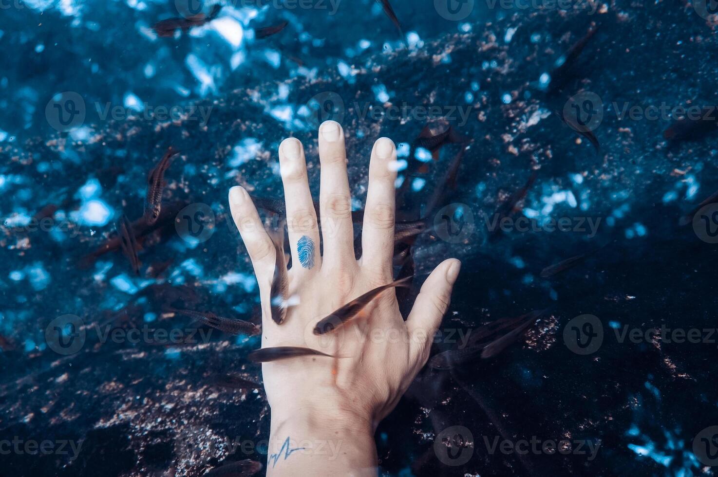 hands in water photo