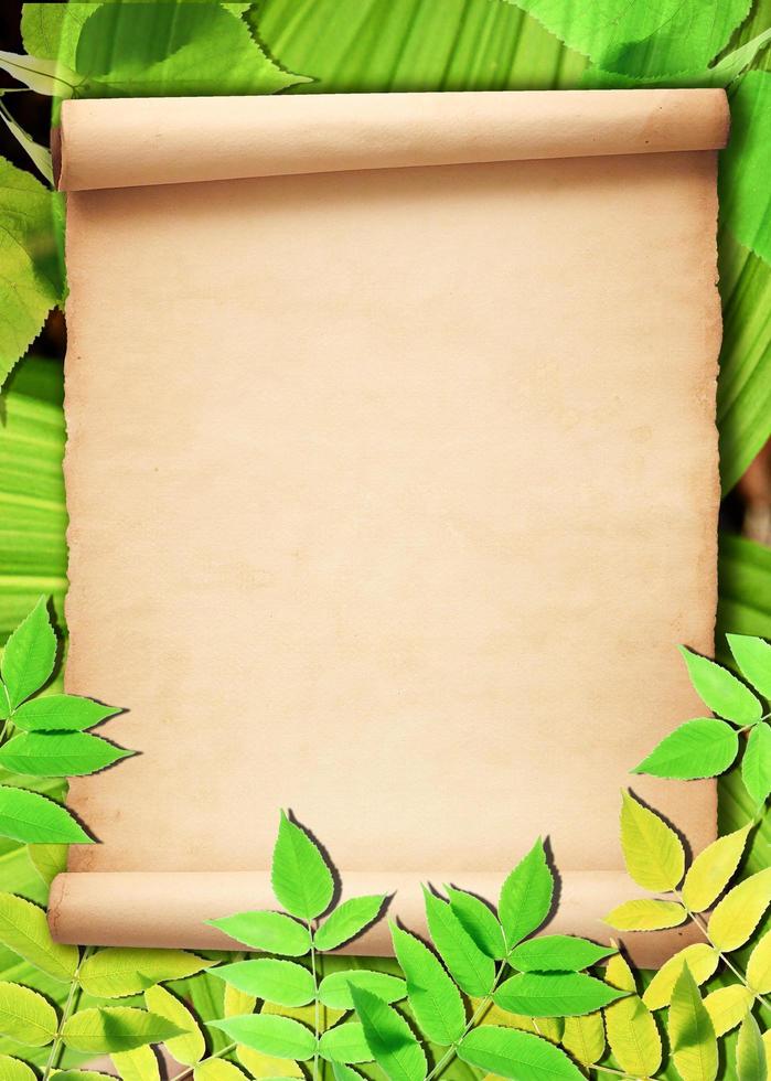 Old paper background with green leaves photo