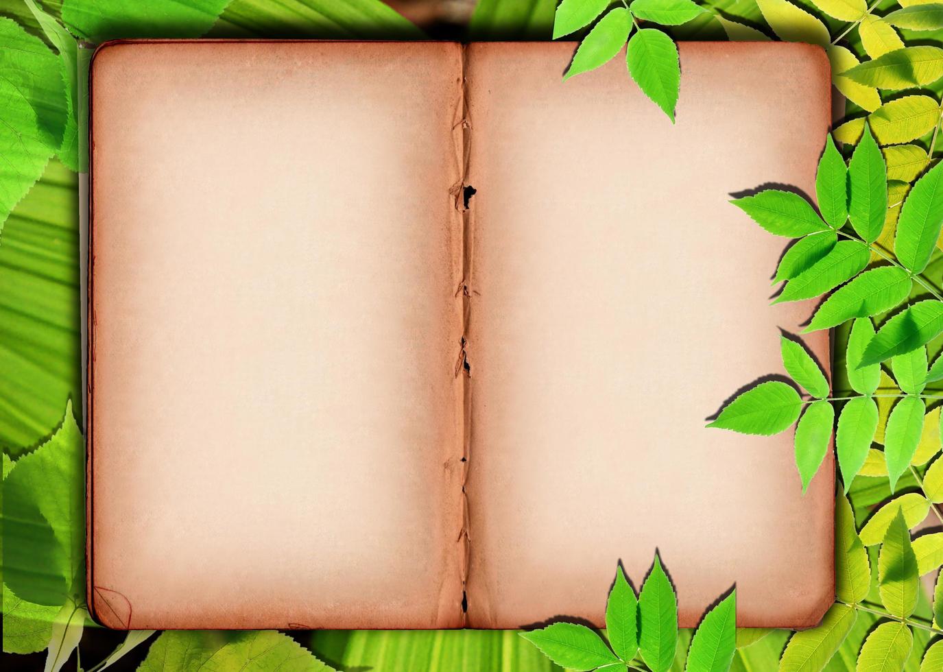Old paper background with green leaves photo