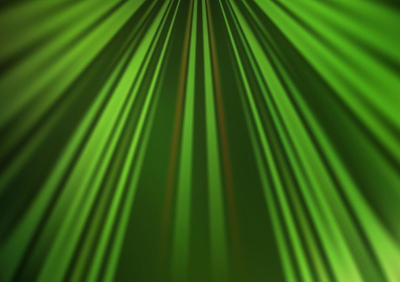 patrón de vector verde claro con líneas estrechas.