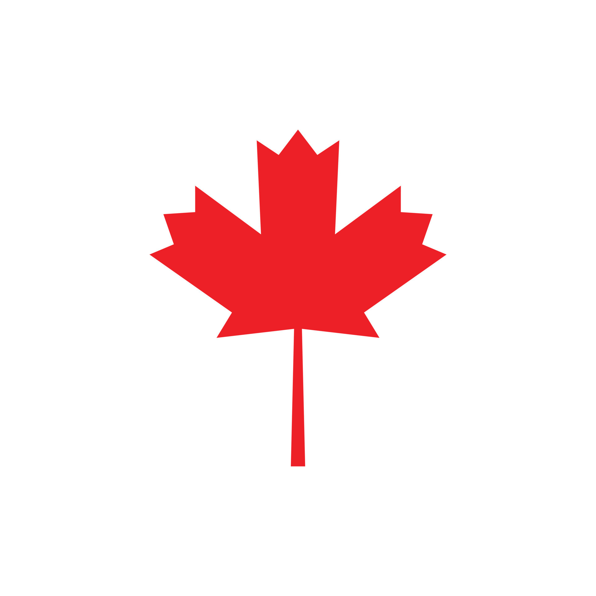 eps10 red vector maple leaf abstract solid icon isolated on white